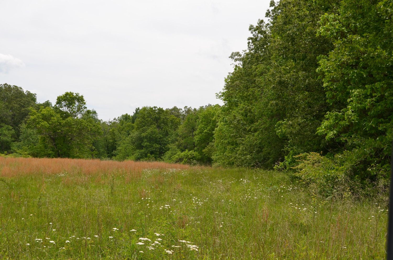 Cook Rd: Cook Rd, Crossville, TN 38555